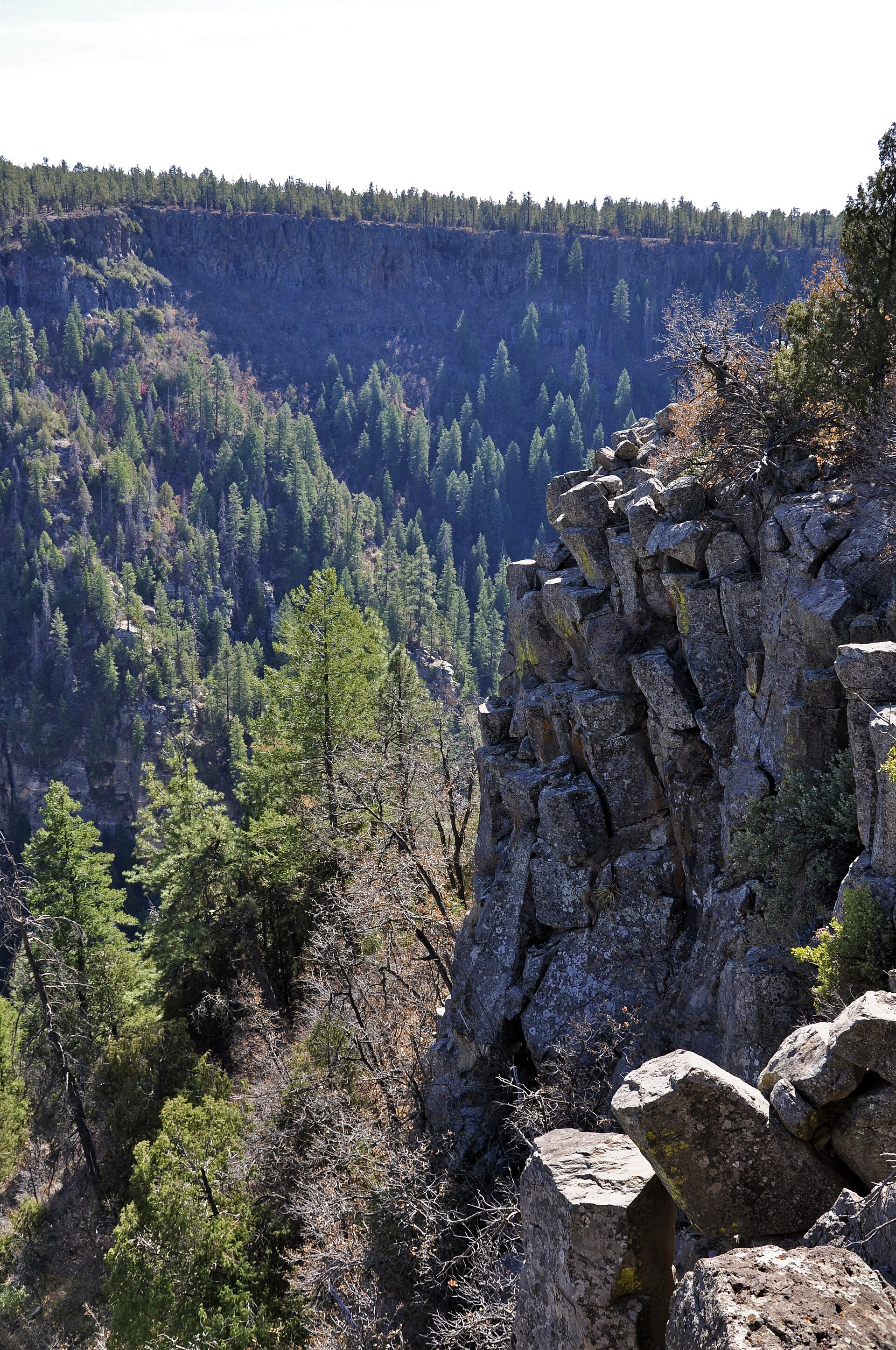 Oak Creek flowing through trees and canyon rocks