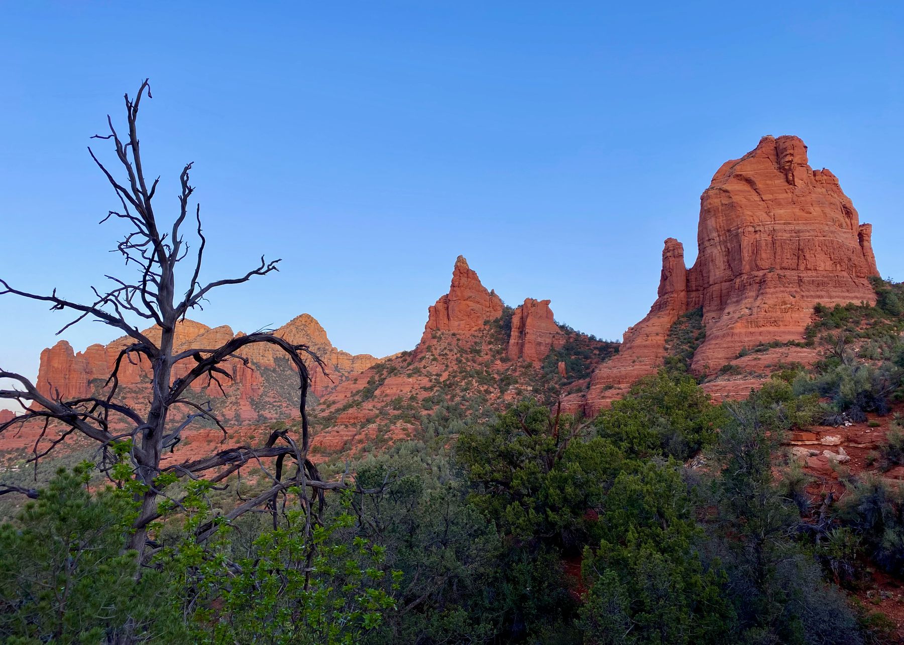 Sedona red rock landscape