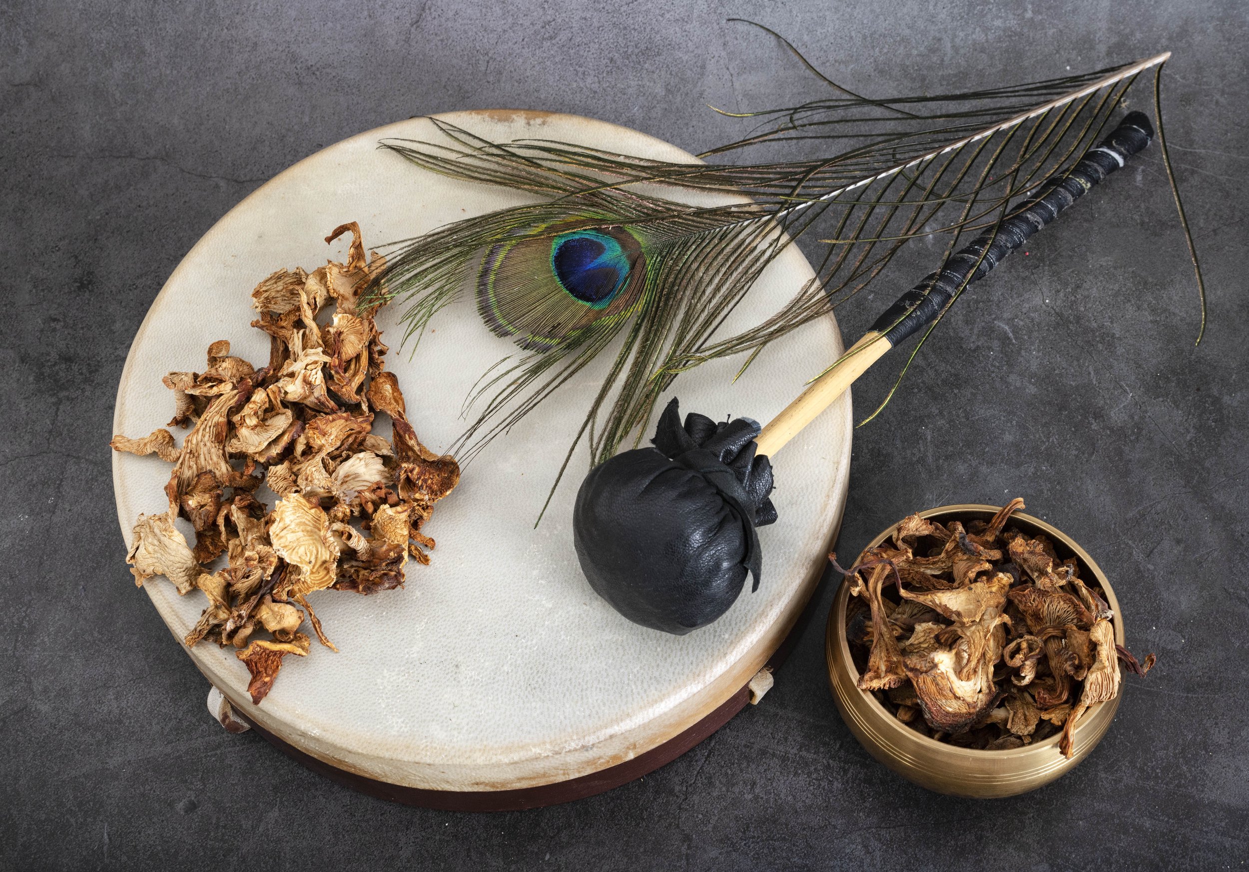 drum and peacock feather displayed are often used as tools by Reiki practitioners to facilitate healing at Gateway Cottage Wellness Center in Sedona Arizona