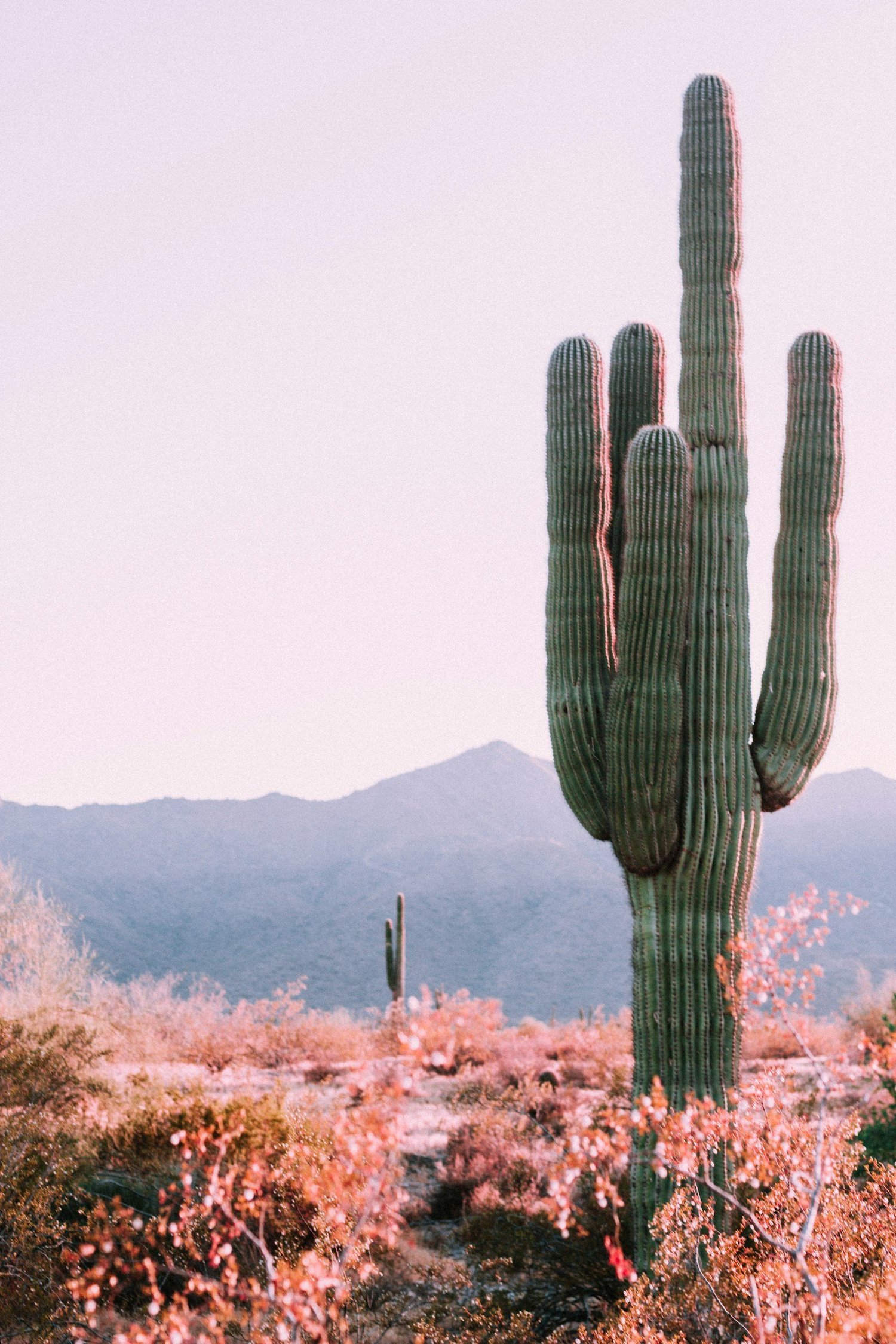 Therapeutic massage and recovery-focused bodywork in Sedona